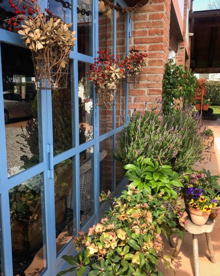 Rio Della Pila Bed & Breakfast San Martino di Lupari Bagian luar foto