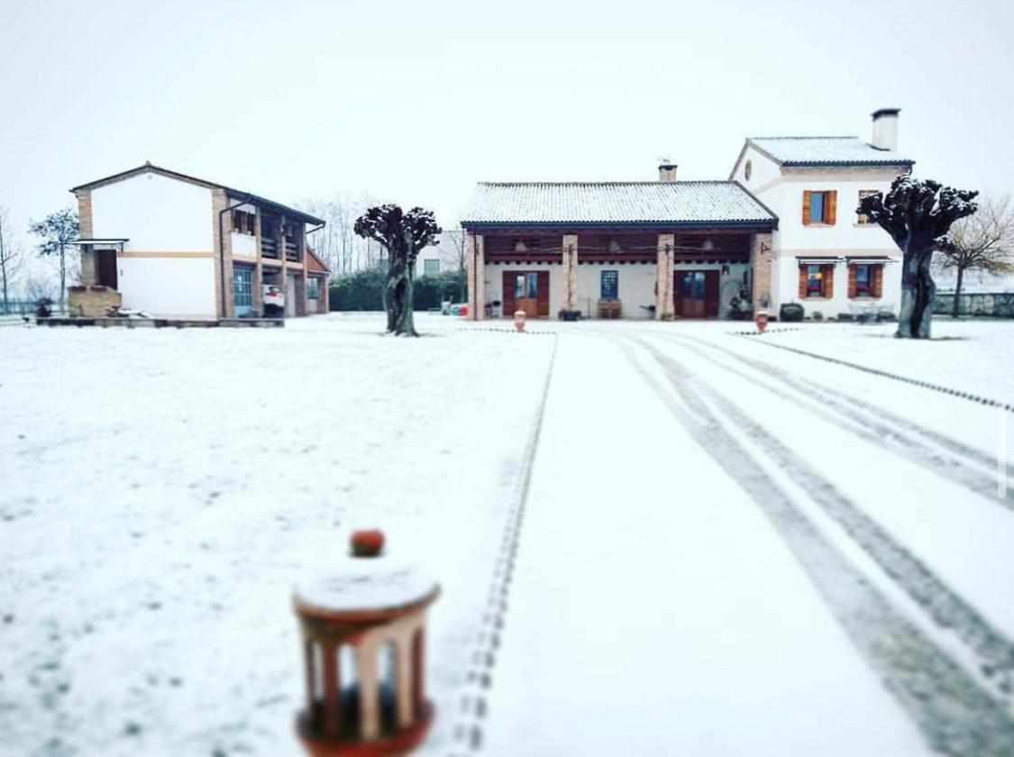 Rio Della Pila Bed & Breakfast San Martino di Lupari Bagian luar foto